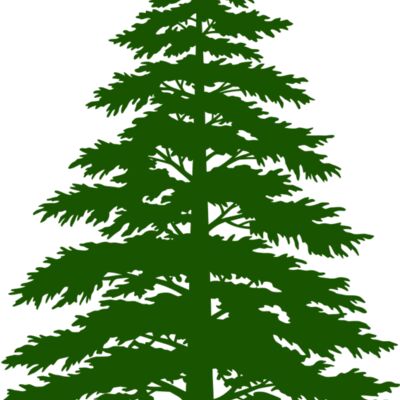 Tree Plant 3 Thumbnail